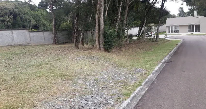 Terreno à venda no Orleans, Curitiba 