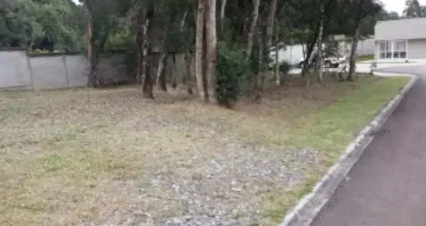 Terreno em condomínio fechado à venda no Orleans, Curitiba