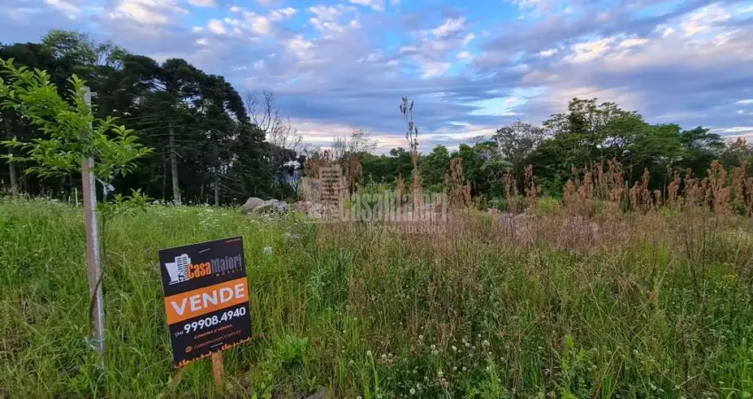 Terreno à venda na Ac. São Vendelino, 00, Faria Lemos (Distrito), Bento Gonçalves