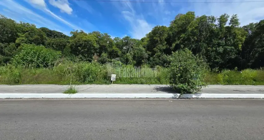 Terreno à venda na Rua Bramante Mion, s n, Universitário, Bento Gonçalves