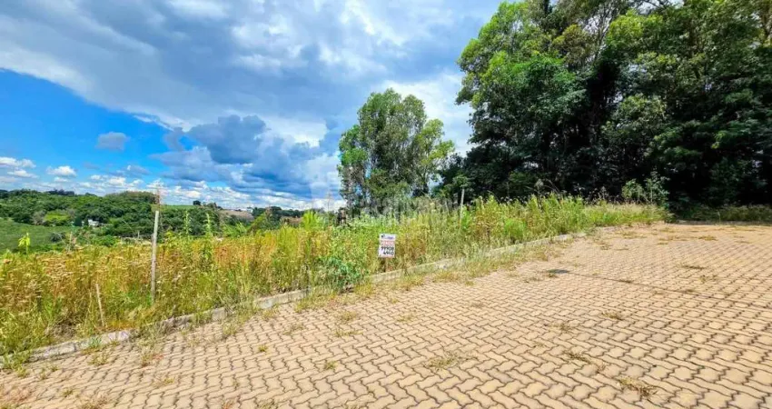 Terreno à Venda em Faria Lemos em Bento Gonçalves