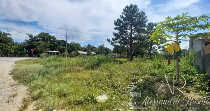 Cod 215 - lindo terreno de esquina no bairro pinheiros | b. barra do sul.