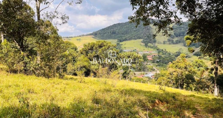 TERRENO EM TOLEDO MG A VENDA PARA CHACARA 8.000M² R$ 250MIL