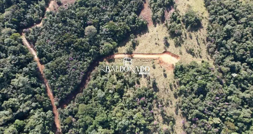 Área 21.000m² em Toledo-MG | Ideal para Chalés nas Montanhas