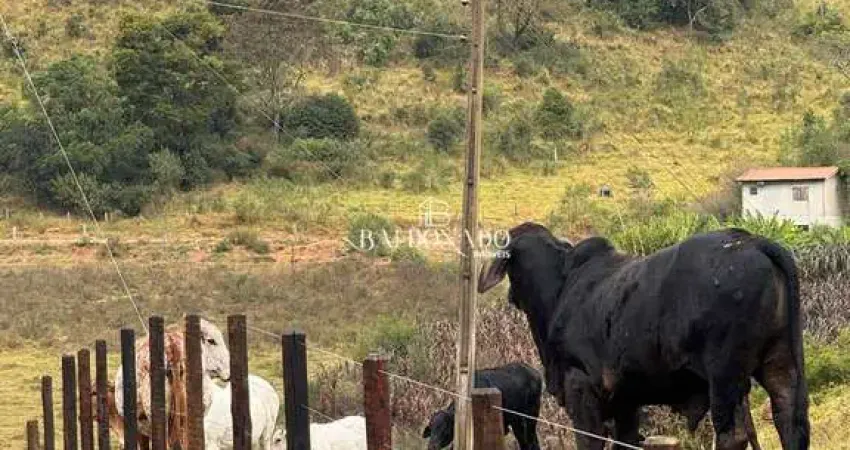 Chácara / sítio à venda no Centro, Munhoz 
