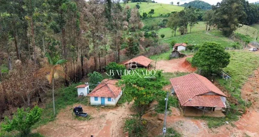 Chácara toledo mg à venda 38.000 m  ótimo investimento com pomar