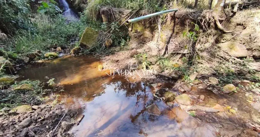 Terreno rural em toledo mg à venda 26.000 m  cachoeira riacho nascente