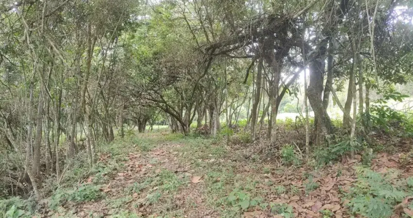 Chácara / sítio à venda na Área Rural de Conselheiro Lafaiete, Conselheiro Lafaiete 