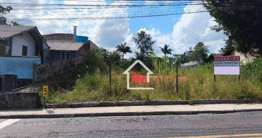Deseja um lugar especial para construir sua casa ou ponto comercial dos seus sonhos?  Então venha conhecer esse excelente terreno na Velha.