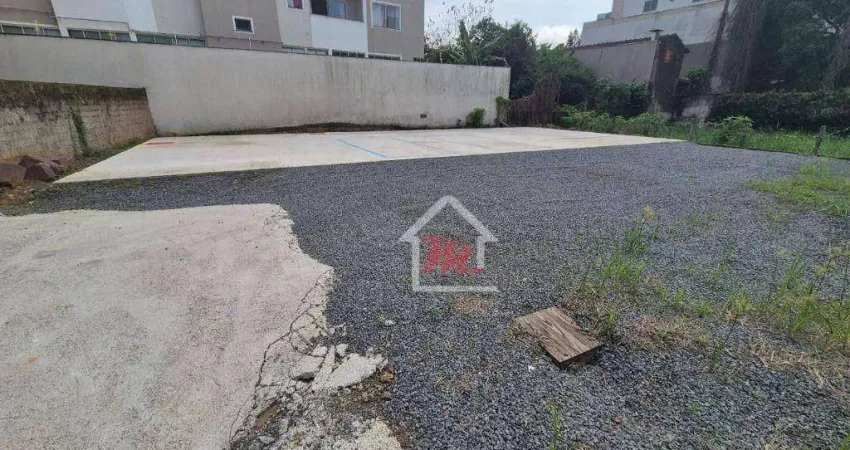 Terreno plano à venda, 385 m² por r$ 550.000 - centro - blumenau/sc