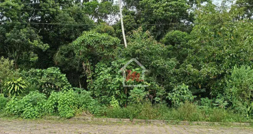 Terreno à venda, 450 m² por r$ 100.000 - itoupava central - blumenau/sc