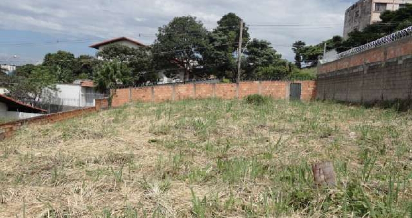 Terreno comercial para alugar na Alameda das Lathânias, 1, São Luiz, Belo Horizonte