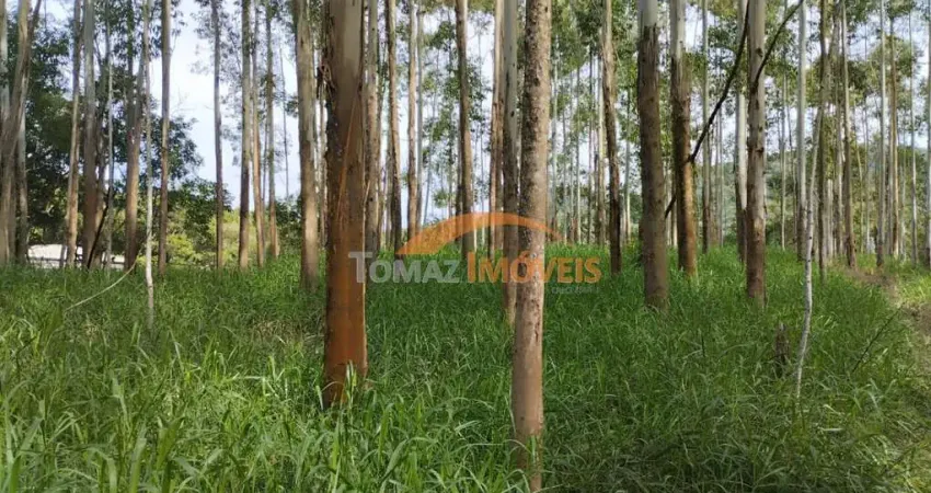 Terreno à venda na Figueira Grande, 1000, Zona Rural, Imaruí