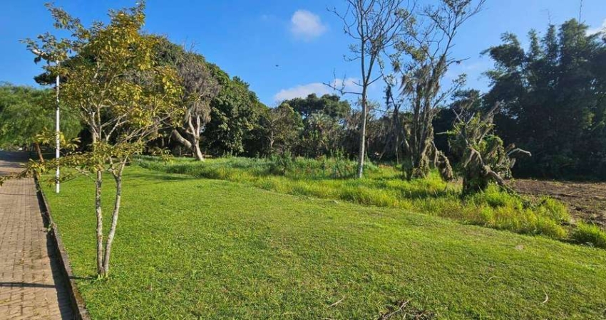 Terreno à venda, 3000 m² por R$ 1.450.000,00 - Ratones - Florianópolis/SC