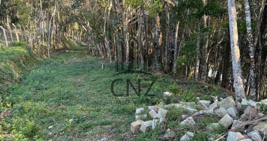 Terreno à venda em Brusque-SC, bairro Primeiro de Maio, com 12.292,00 m² de área disponível!