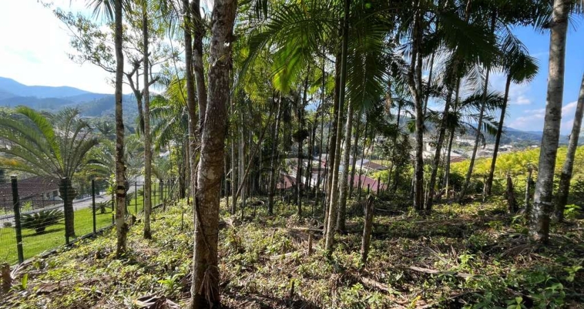 Terreno à venda em Guabiruba-SC, bairro Aimoré, com 6.916,50 m² de área! Venha conferir!