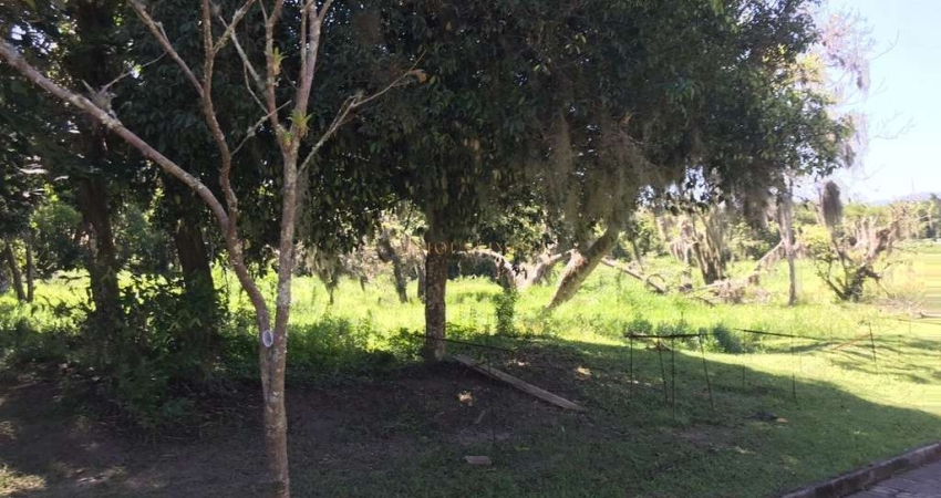 Terreno em condomínio fechado à venda na Rua Intendente Antônio Damasco, 4687, Ratones, Florianópolis