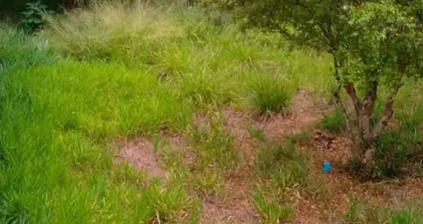 Excelente terreno no bairro vila rica , região do putim , boa localização, próximo do super mercado máximo , açougue, escola , posto de saúde  , farmácia