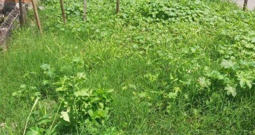 Terreno à venda, 215 m² por R$ 290.000,00 - Parque das Américas - Mauá/SP