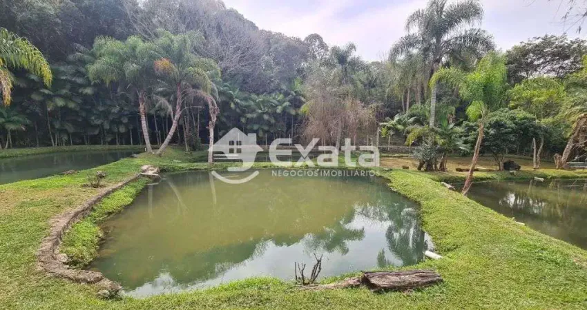 Chácara / sítio com 3 quartos à venda na Estrada Vicinal Giacomo Bassi, 110, Centro, Piedade