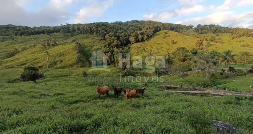 Fazenda à venda na Barra Clara, Angelina 