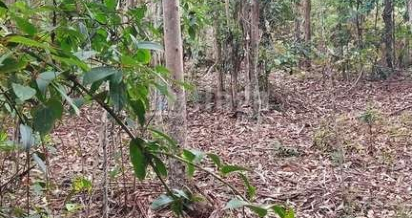 Fazenda à venda no Tijipió, São João Batista 