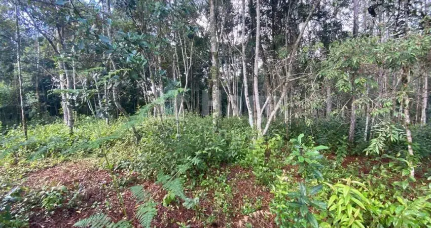 Terreno à venda no Baixo Salto, Nova Trento 