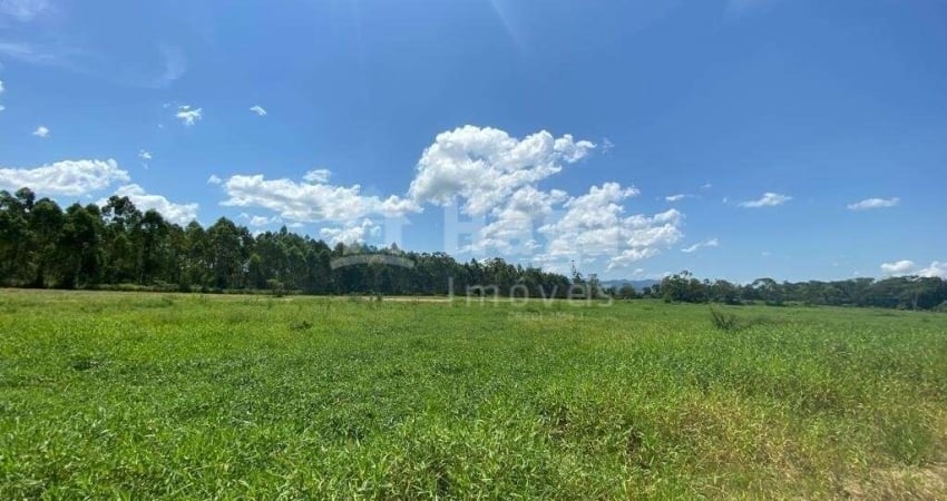 Chácara / sítio à venda na Zona Rural, Canelinha 