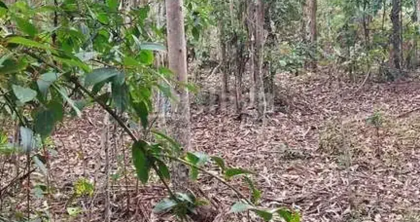 Chácara / sítio à venda no Tijipió, São João Batista 