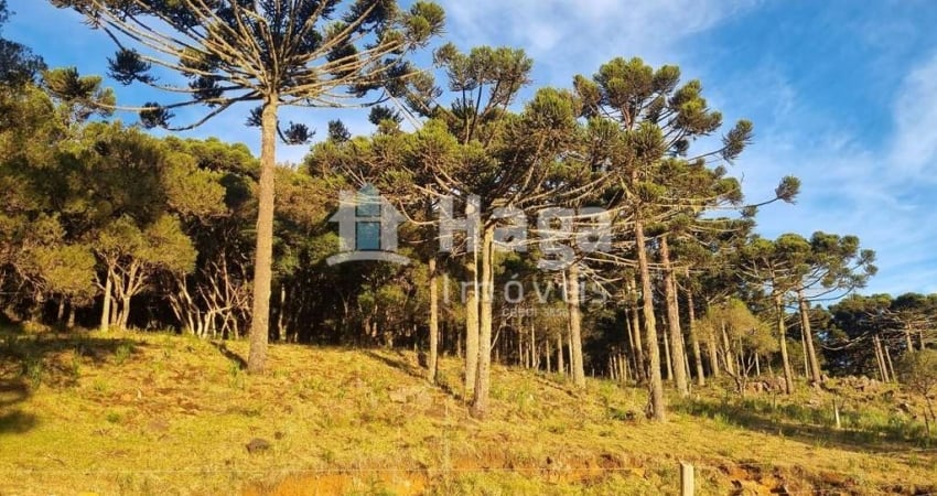Chácara / sítio à venda em Zona Rural, Bom Jardim da Serra 