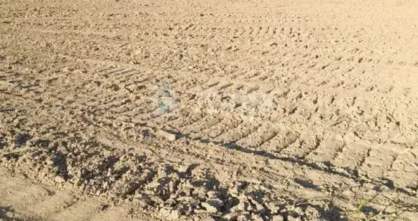 Terrenos à venda em Canelinha/SC