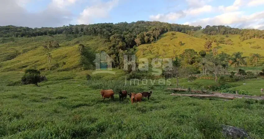 Chácara / sítio com 2 quartos à venda na Barra Clara, Angelina 