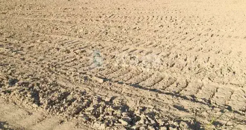 Chácara / sítio à venda na Galera, Canelinha 