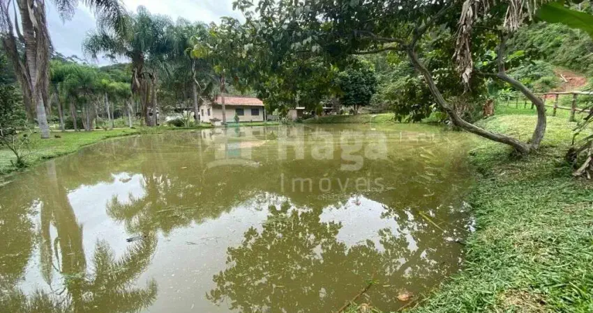 Chácara / sítio com 3 quartos à venda na Ponta Fina Sul, Nova Trento 
