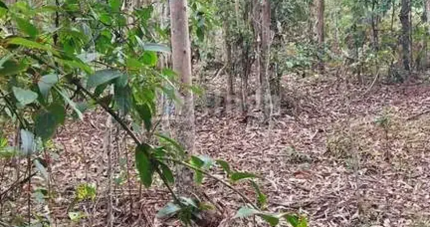 Chácara / sítio à venda no Tijipió, São João Batista 