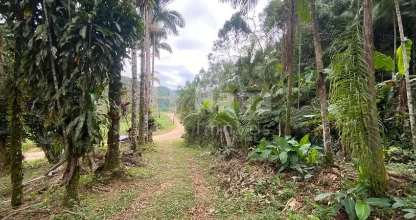 Chácara / sítio à venda em Claraíba, Nova Trento