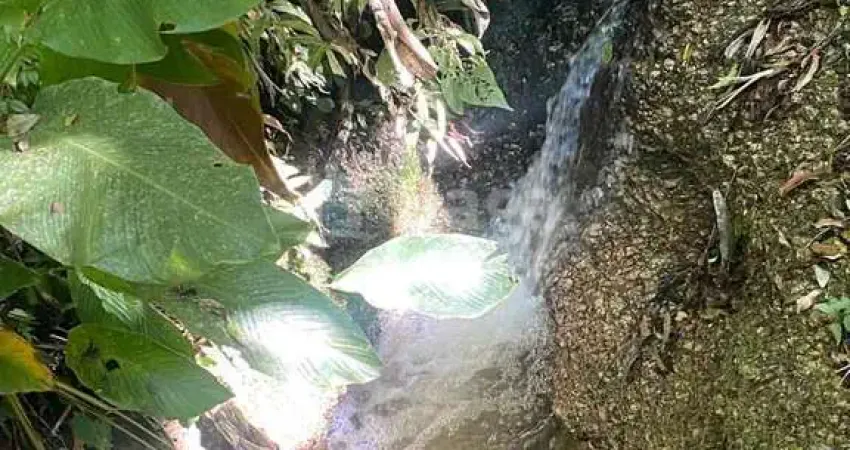 Chácara / sítio à venda no Tomaz Coelho, Brusque