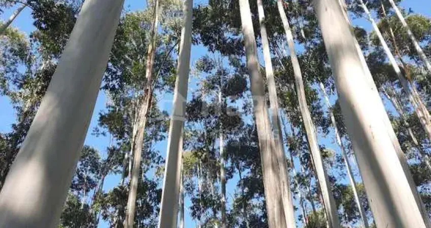 Chácara / sítio à venda no Canta Galo, Major Gercino 
