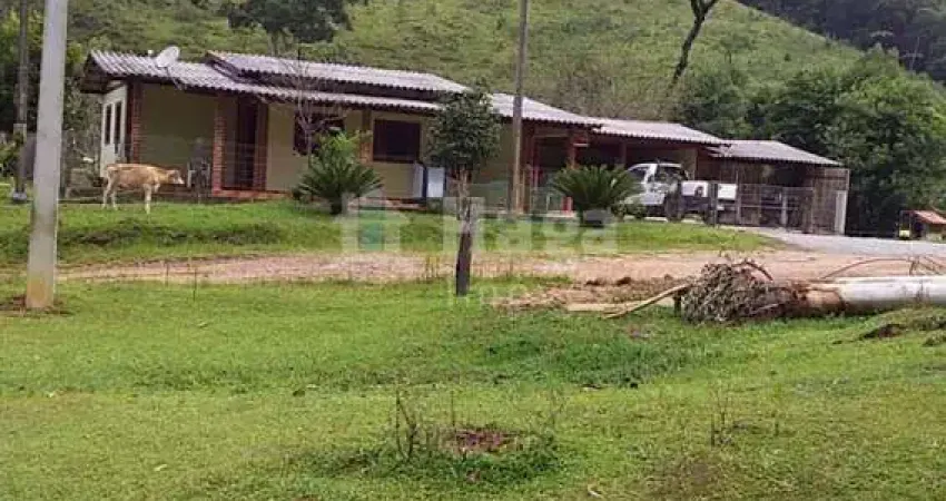 Chácara / sítio com 3 quartos à venda na Barra Clara, Angelina