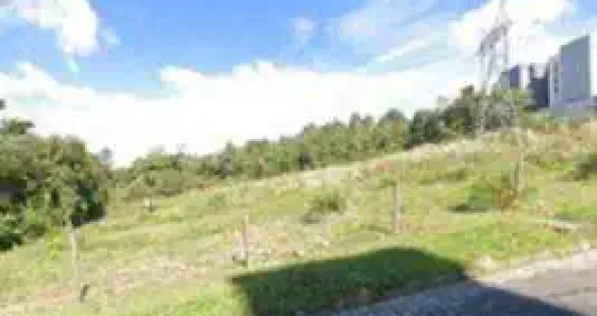 Terreno padrão para venda  no bairro diamantino  em caxias do sul