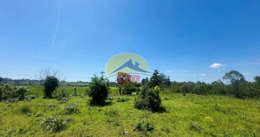 Chácara / sítio à venda no Sanga Funda, Nova Santa Rita 