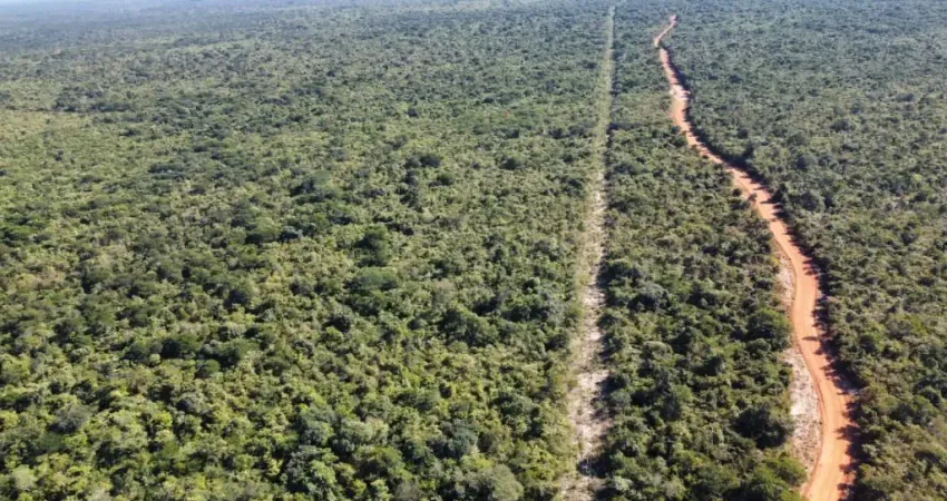 Fazenda com 2 salas à venda na Avenida Landri Sales, Zona Rural, Piracuruca