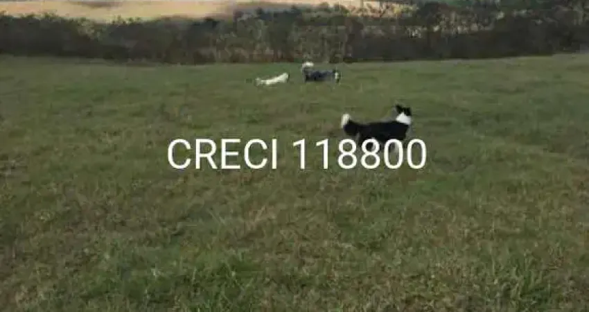 Chácara/Sítio para Venda Centro Salto de Pirapora