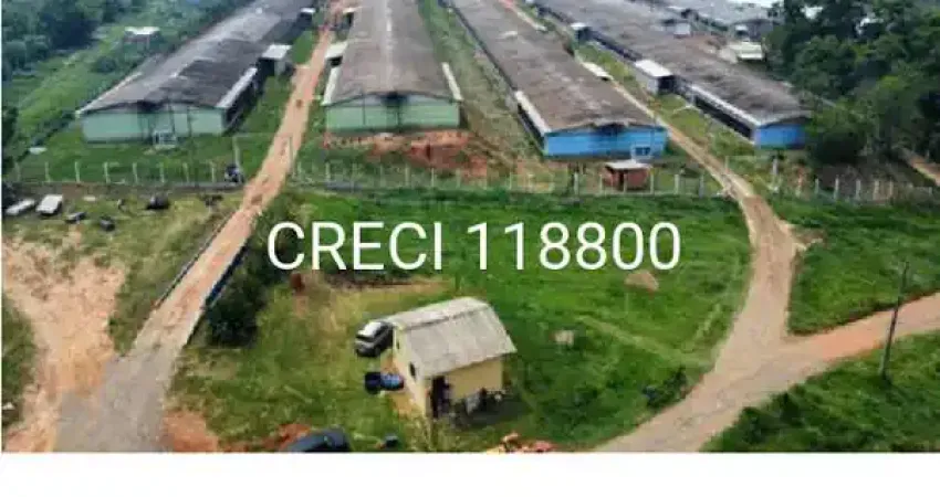 Chácara/Sítio para Venda Fazenda Velha Cesário Lange