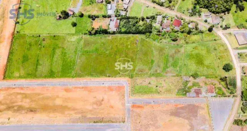 Terreno à venda, 46000 m² por R$ 4.800.000,00 - Belchior Baixo - Gaspar/SC
