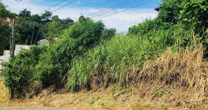Terreno à venda, 450 m² por R$ 219.000,00 - Asilo - Blumenau/SC