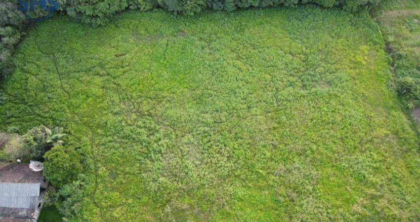 Terreno à venda, 11322 m² por R$ 5.798.000,00 - Itoupava Central - Blumenau/SC