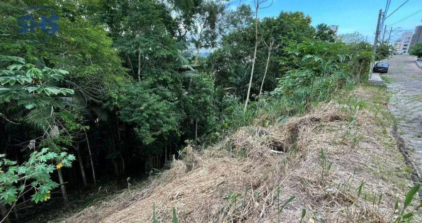 Terreno à venda na Rua Diaconiza Gertrud Voigt, 270, Vila Formosa, Blumenau