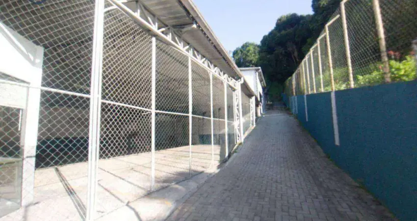 Galpão para alugar, 530 m² por R$ 15.100,00/mês - Velha - Blumenau/SC