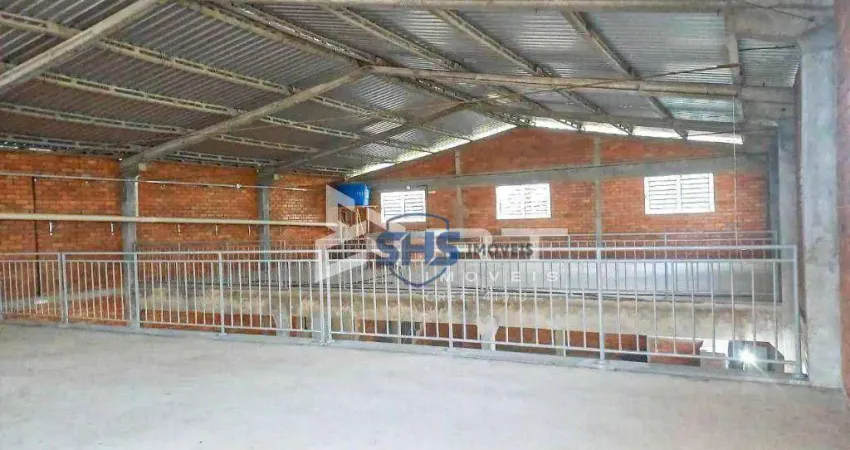 Galpão para alugar, 750 m² por R$ 15.000,02/mês - Boa Vista - Blumenau/SC